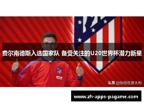 费尔南德斯入选国家队 备受关注的U20世界杯潜力新星 费尔南德斯入选国家队 备受关注的U20世界杯潜力新星