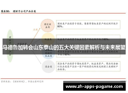 马德鲁加转会山东泰山的五大关键因素解析与未来展望 马德鲁加转会山东泰山的五大关键因素解析与未来展望